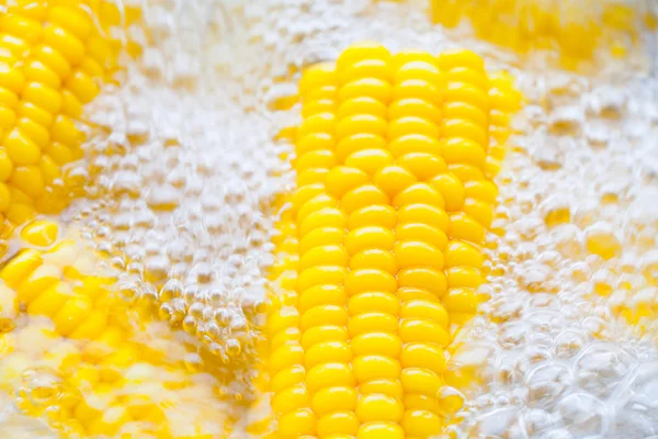 Corn cobs boiling in hot water — Stock Photo, Image