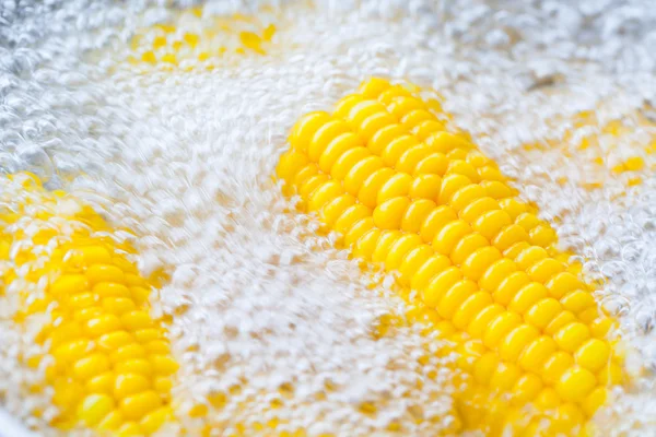 Corn cobs boiling in hot water — Stock Photo, Image