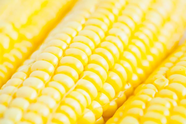 Close up grains of ripe corn — Stock Photo, Image