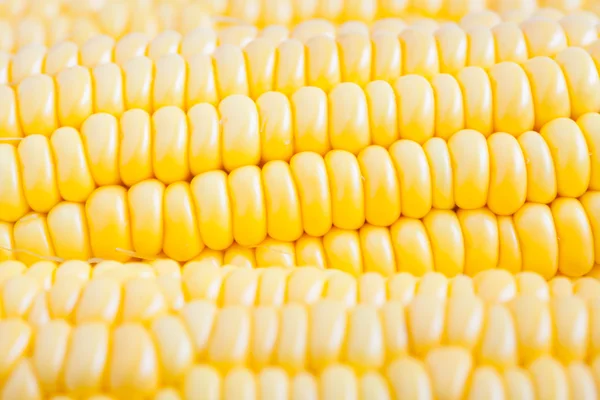 Close up grains of ripe corn — Stock Photo, Image