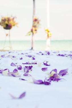 beach düğün Kur üzerinde güzel düğün closeup dekore 