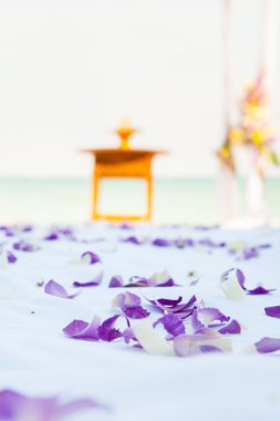 beach düğün Kur üzerinde güzel düğün closeup dekore 