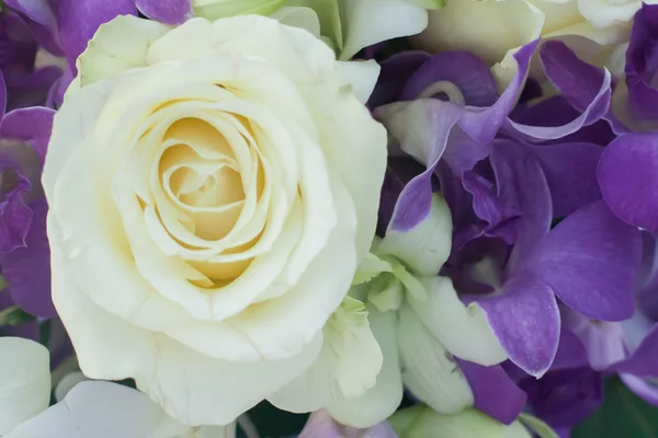 Flower bouquet background — Stock Photo, Image