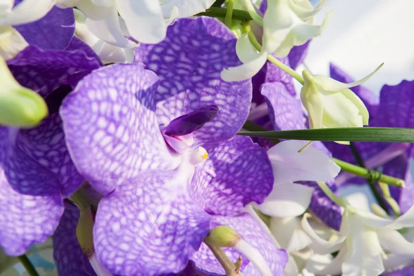 Bloemenboeket achtergrond — Stockfoto