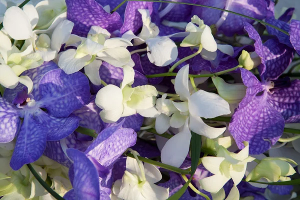 Bloemenboeket achtergrond — Stockfoto