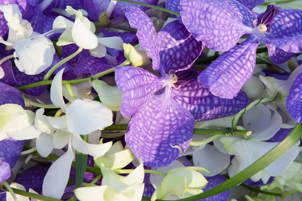 Bloemenboeket achtergrond — Stockfoto