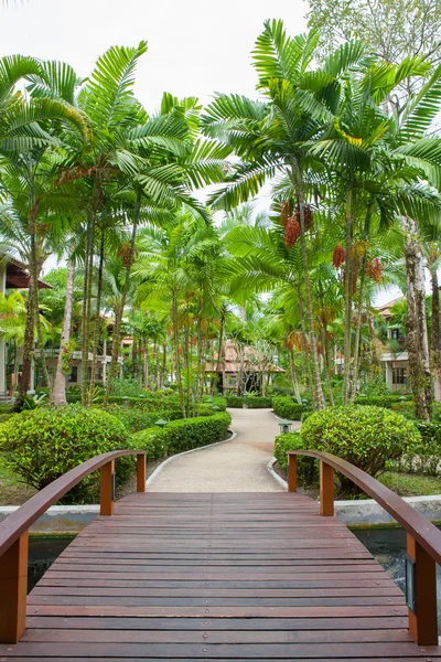 Walkway in garden — Stock Photo, Image