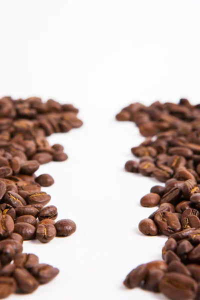 Grano de café sobre fondo de papel blanco — Foto de Stock