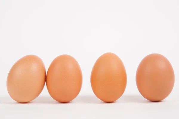 Chicken eggs  on white paper background — Stock Photo, Image