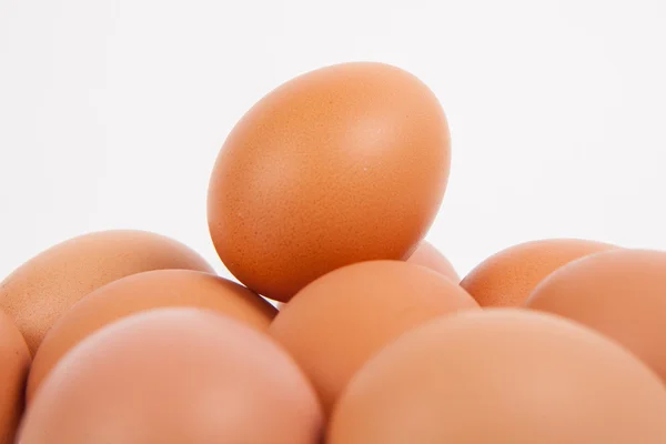 Chicken eggs  on white paper background — Stock Photo, Image