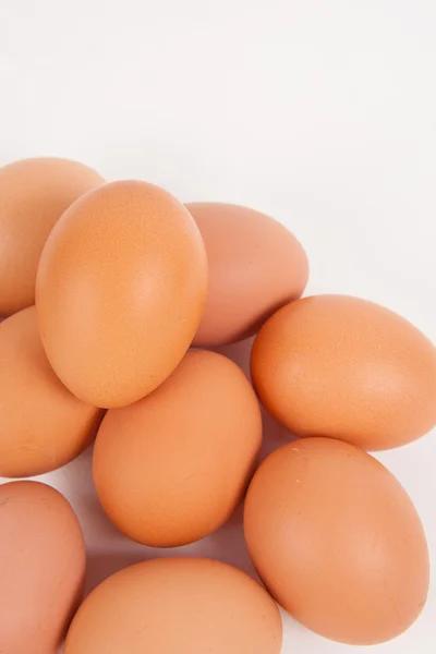 Chicken eggs  on white paper background — Stock Photo, Image