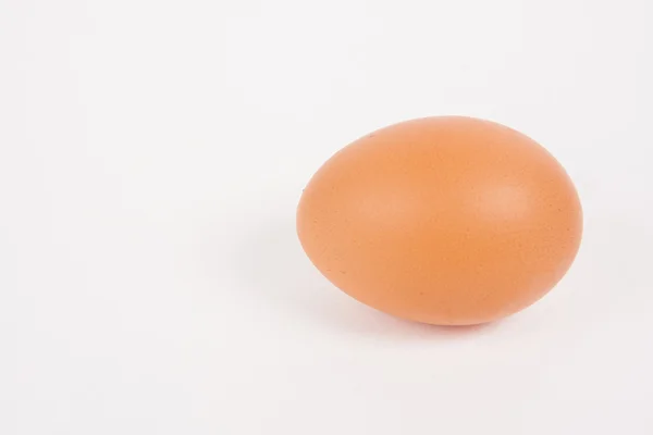 Single chicken egg  on white  paper background — Stock Photo, Image