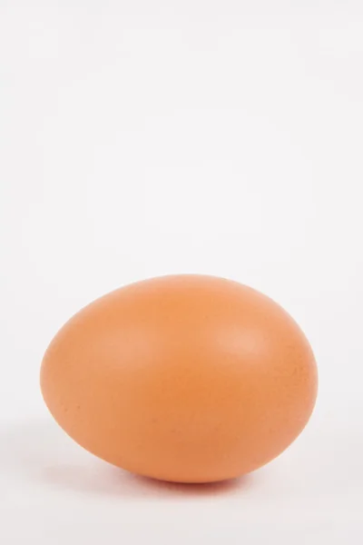 Одно куриное яйцо на белом бумажном фоне — стоковое фото
