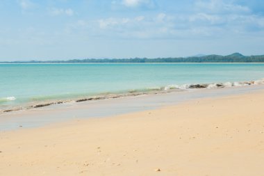 plaj ve tropikal deniz 