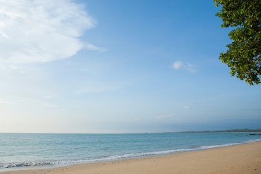 plaj ve tropikal deniz 