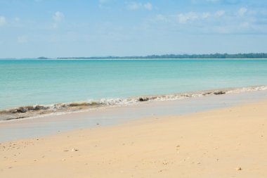 plaj ve tropikal deniz 