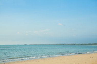 plaj ve tropikal deniz 