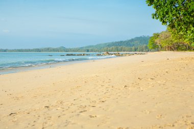 plaj ve tropikal deniz 