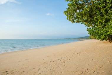 plaj ve tropikal deniz 