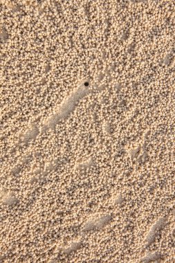 Yaz (kum doku bir plaj kum desen closeup)