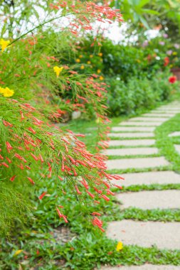 yolu ile Bahçe çiçek