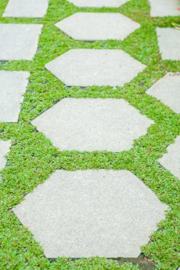 Bahçedeki taş geçit.