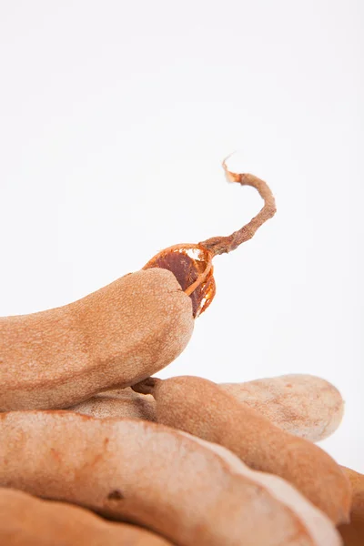 Tamarind pada latar belakang kertas putih — Stok Foto