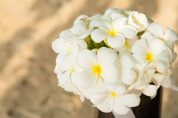 Bloemenboeket van Plumeria — Stockfoto
