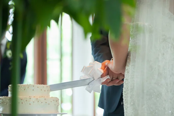 Una sposa e uno sposo stanno tagliando la loro torta nuziale — Foto Stock