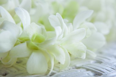 Orkide yaprakları hazırlanan düğün törenlerde kullanılır.