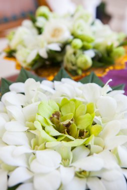 Orkide yaprakları hazırlanan düğün törenlerde kullanılır.