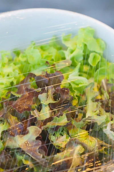 Vegetables in a glass bowl on the plastic wrap. — Stock Photo, Image