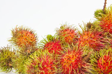 Rambutan tatlı lezzetli meyve beyaz kağıt arka plan üzerinde