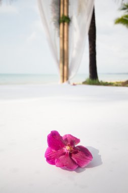 Tayland 'da düğün için dekorasyon