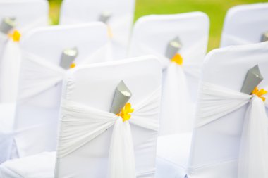 Düğün için sandalye kurulumu