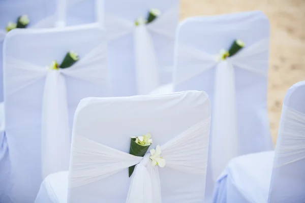 Chair setup for wedding — Stock Photo, Image