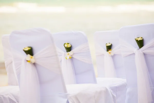 Düğün için sandalye kurulumu — Stok fotoğraf
