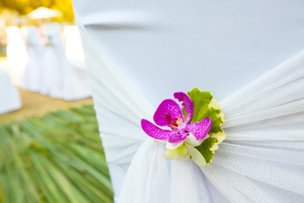 Chair setup for wedding — Stock Photo, Image