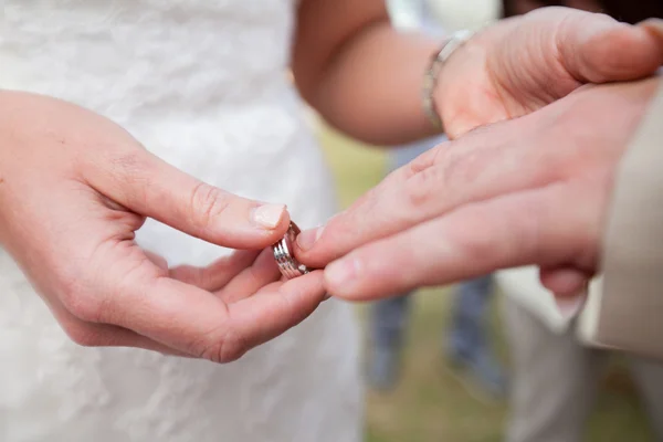 Die Braut trug einen Ehering am Bräutigam — Stockfoto