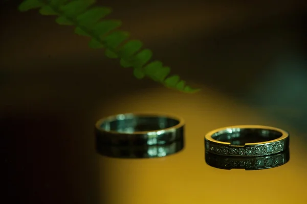 The Wedding rings — Stock Photo, Image