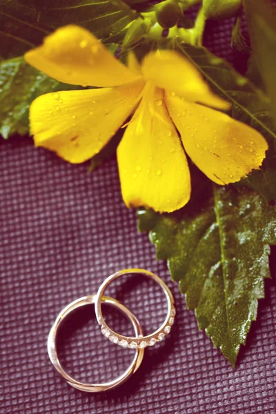 The Wedding rings — Stock Photo, Image