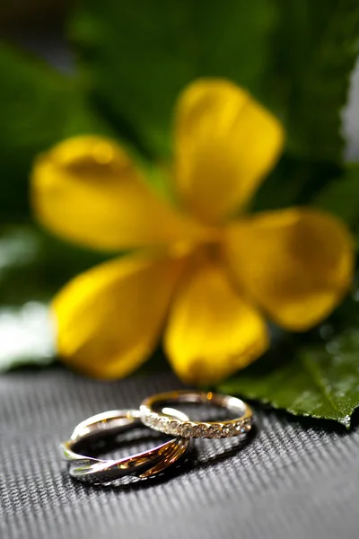 The Wedding rings — Stock Photo, Image