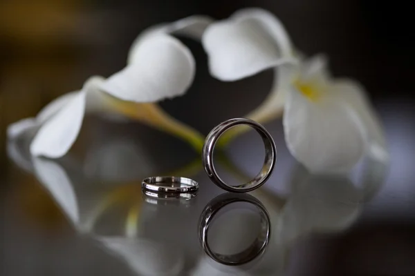 Dois anéis de casamento — Fotografia de Stock