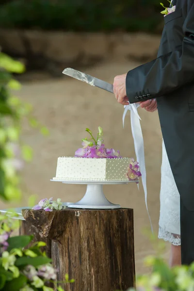 新婚切削ウエディング ケーキのセクション半ばのクローズ アップ. — ストック写真