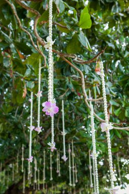 Sahilde Çiçek Aranjman.