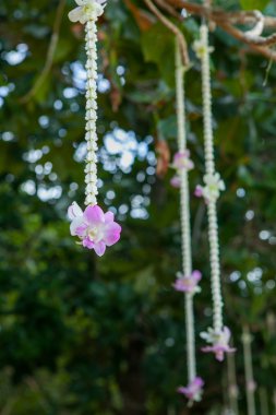 Sahilde Çiçek Aranjman.