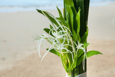 Sahilde Çiçek Aranjman.