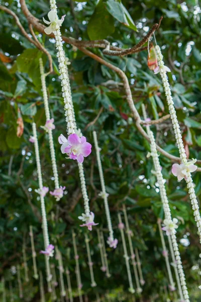 Floral regeling op het strand. — Stockfoto