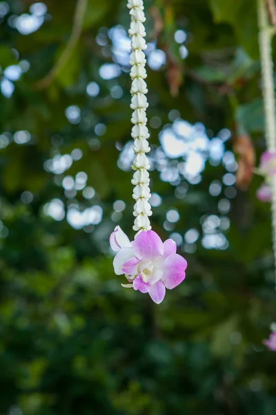 Blumenschmuck am Strand. — Stockfoto