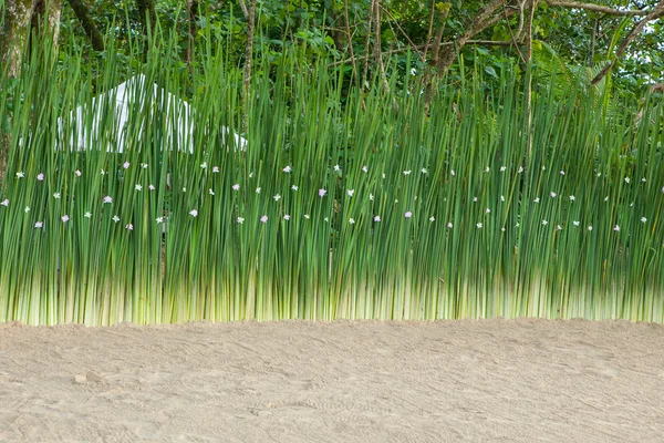 Blomsterarrangemang på stranden. — Stockfoto